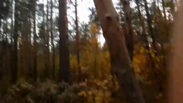 Большое дерево падает смотреть онлайн