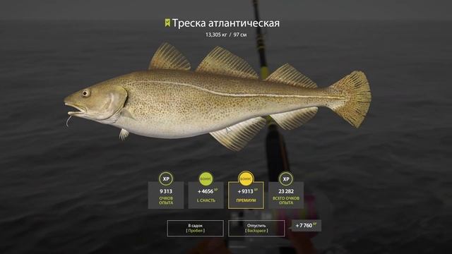 Русская рыбалка 4- гайд, ПЕРВАЯ МОРСКАЯ СБОРКА И ЛОВЛЯ НА МОРЕ, ПРОКАЧКА ПРИМАНОК | серия 16