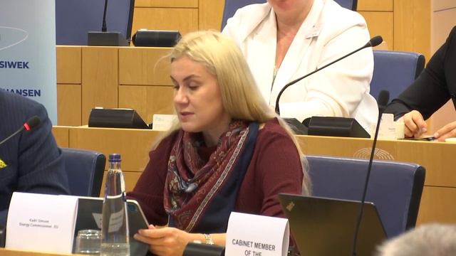 Remarks of Kadri Simson at the European Parliament