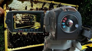 Изолятор для матки (внутрисотовый)