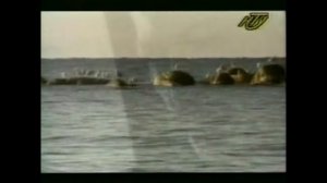 Александр Розенбаум - Вечерняя застольная