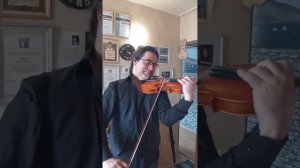 Скрипка 4/4. Мастер Д. Винокуров 2021г.