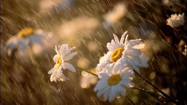 Tom Kenyon The Ultimate Brain video booster cz 720p 2212017 смотреть онлайн