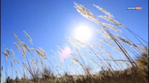 Звуки степи