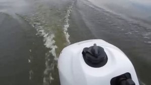 Видео лодочный мотор YAMAHA F5.