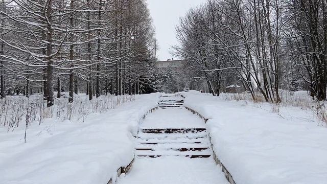 Прогулка по территории санатория 