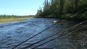 Мотор-весло, болотоход на реках плато Путорана