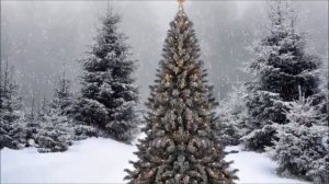 В лесу родилась елочка караоке