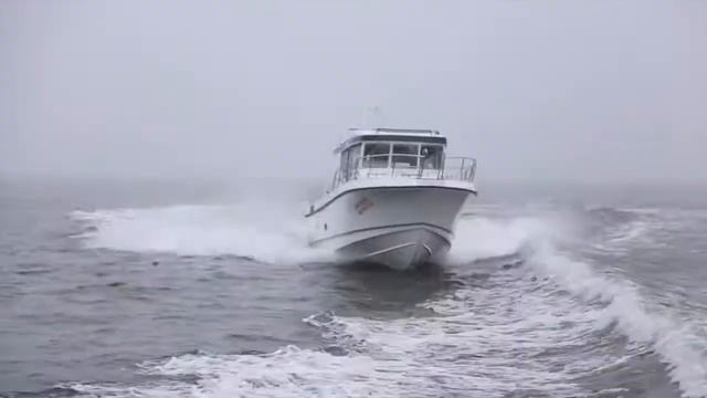 Nord Star 32 Patrol - Новая модель 2015 года, тесты на воде!