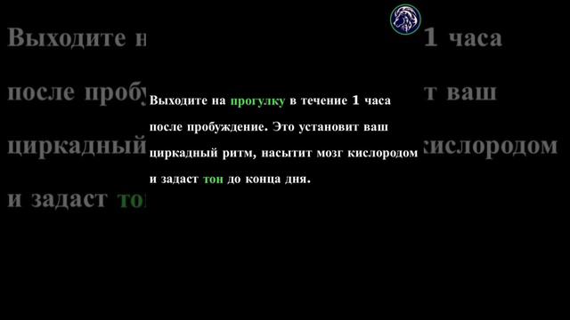 СОВРЕМЕННЫЕ СЕКРЕТНЫЕ ПОЛЕЗНЫЕ ПРИВЫЧКИ смотреть онлайн