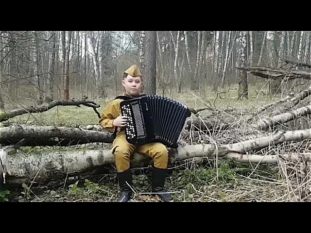 «Смуглянка» на баяне