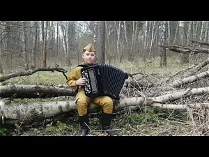 «Смуглянка» на баяне