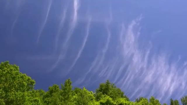 Bleeker Street Blues. смотреть онлайн