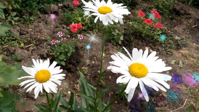 День Молодежи Поздравления Открытки Картинки С Днем Молодежи Стихи