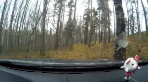 Не покупай Hover H2, H3, H5\ Ховер Н3, Н2, Н5! Побереги деньги и нервы! Советы перед покупкой.