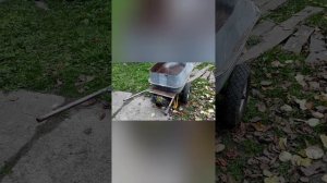 Саморобна Садова ..Тачка Мототачка.. Возок ??