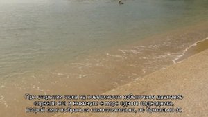 Как спастись с подводной лодки: история "Комсомольца"