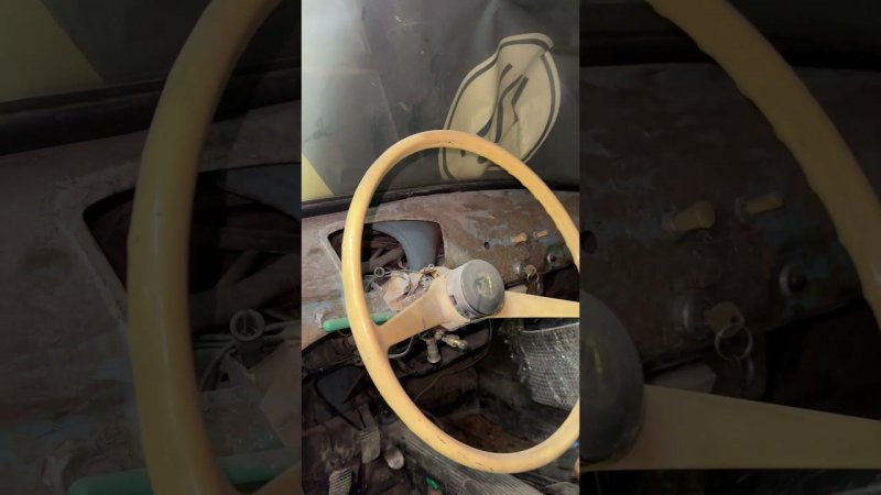 Голубой запорожец в белом цвете)))
