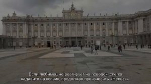 Как обучить щенка командам Нельзя и Фу?