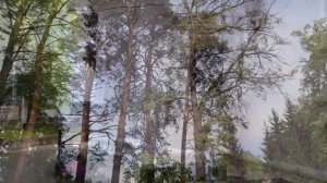 Усадьбы Подмосковья - Афинеево