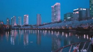 4K SEOUL WALK - Seoul's beautiful cherry blossoms and spring in 2021 / Come Seoul next spring!
