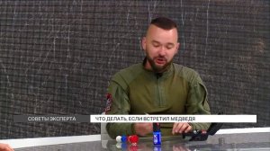 Что делать, если встретил медведя в лесу?