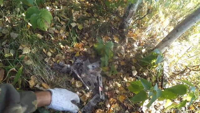 Мощная техника для копа металлолома! Мотоцикл Урал. смотреть онлайн