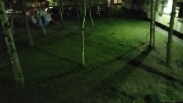 Вот такое пение птиц слушаю каждую ночь! Спальный район Санкт-Петербурга. 🥰🐦 смотреть онлайн