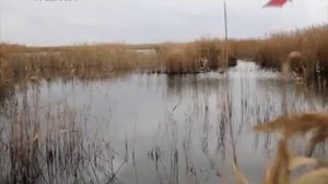 Осенняя ловля щуки нахлыстом, поперы Охота и Рыбалка