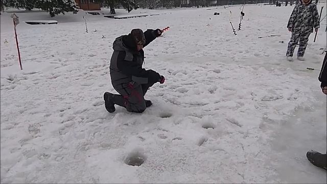 Поимки форели на активные и пассивные снасти. Клёвое место, Лосиный остров, верхний водоём. смотреть онлайн