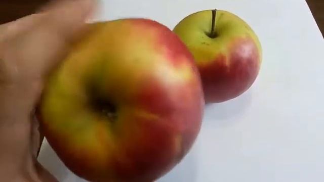 Лиголь - обзор польского сорта яблок смотреть онлайн