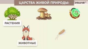 Какие бывают растения