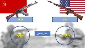 Сравните АКМ и M14