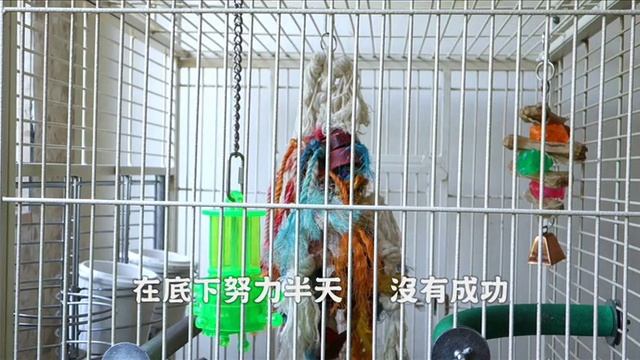 2013/10/02 偷開鎖 смотреть онлайн