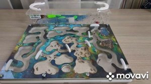 Рассказываю что такое конденсат в муравьиной ферме и как с ним бороться.
