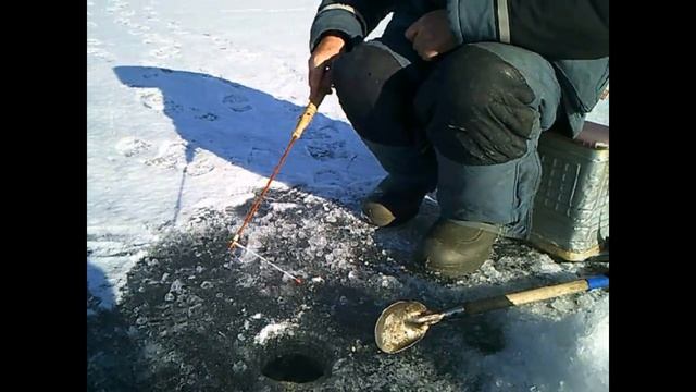 Черноисточинск ловля плотвы в апреле смотреть онлайн