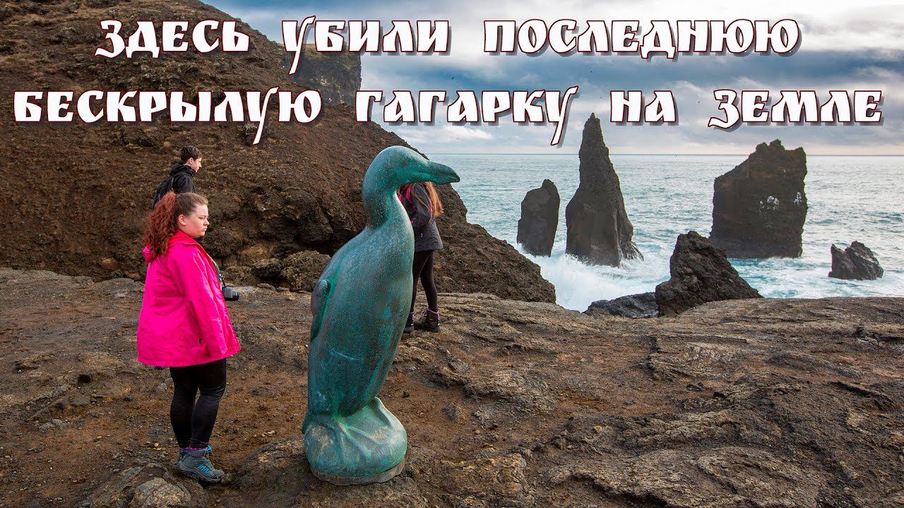 Исландия, часть 15 - птичьи скалы у маяка Reykjanes
