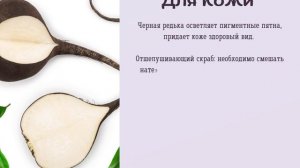Черная редька