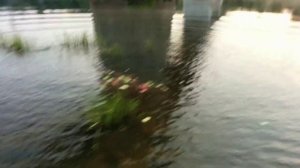 ЧТО БУДЕТ, ЕСЛИ СКИНУТЬ АРБУЗ С МОСТА?