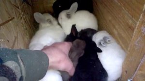 Дневной обход , праздник Рождество а работа есть та которая не знает праздников !