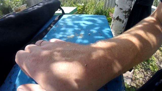 Ужалила пчела! Что делать?! Первая-скорая помощь при укусах и ужалении насекомых! смотреть онлайн