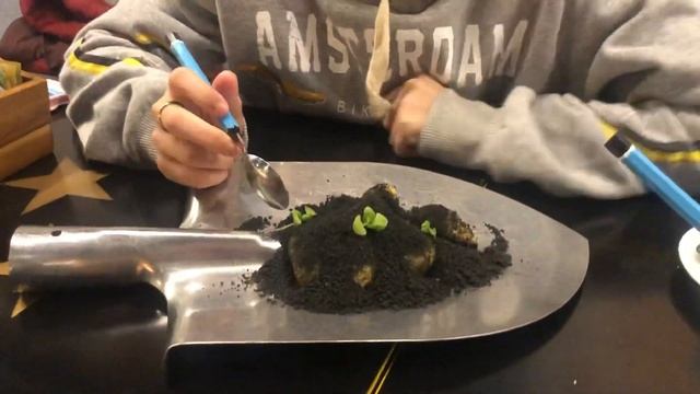 Жесть!!! Ребёнка заставили жрать землю в кафе Максима Фадеева!!! смотреть онлайн