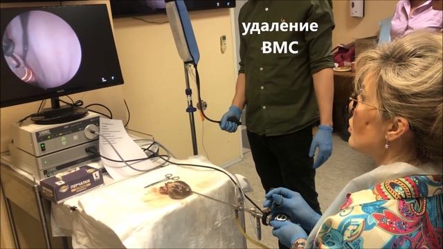 Постдипломный курс по офисной и хирургической гистероскопии. 36 часов. Сертификат. смотреть онлайн