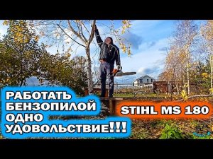 Бензопила STIHL MS 180. Очищаем участок.