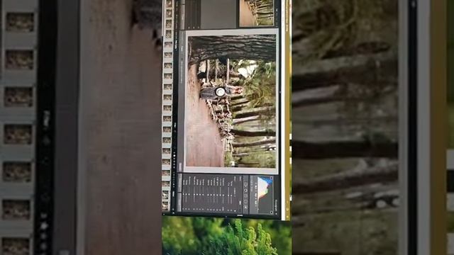 Обработка в Lightroom. 5 лайфхаков о которых вы не знали" смотреть онлайн