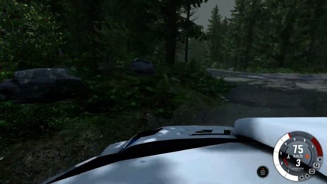 BeamNG Drive - WRC Polo Onboard - Rally Forest