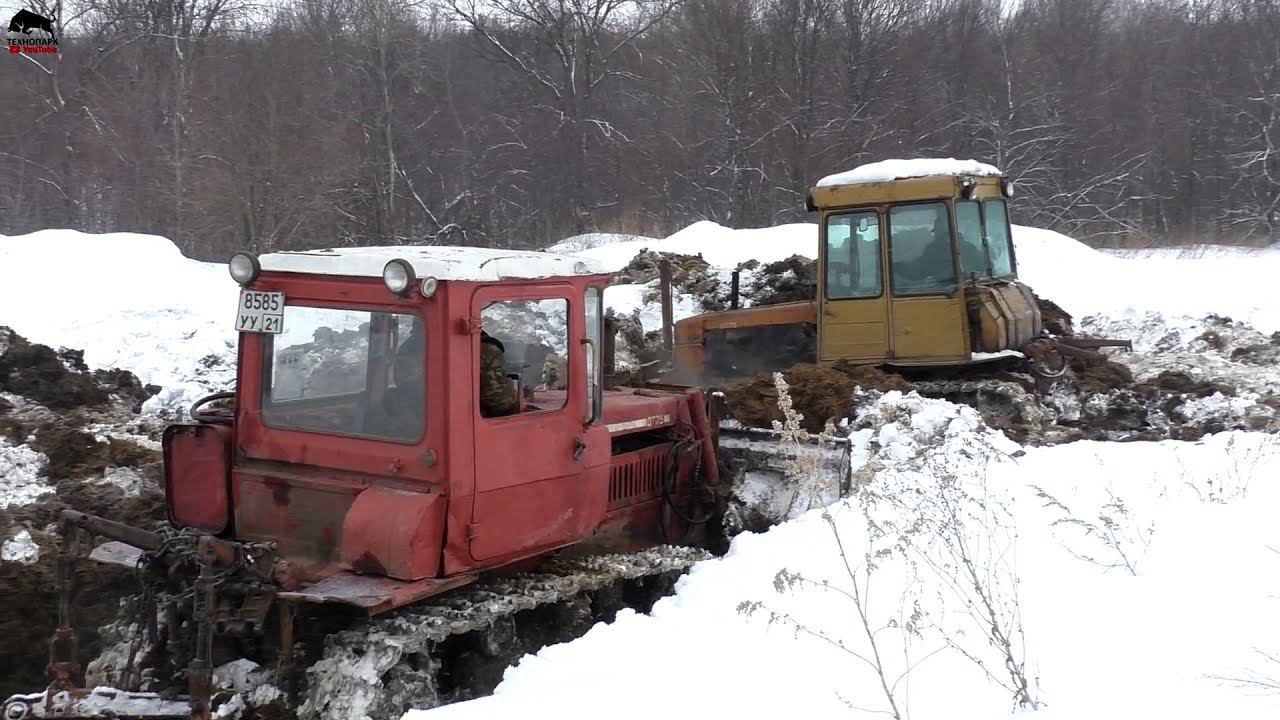 Такого ГОРОДСКИЕ не видели! Трактора ДТ 75 толкают навоз на ферме! смотреть онлайн