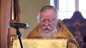Проповедь на неделю 28-ю по Пятидесятнице (о прокажённых). Димитрий Смирнов
