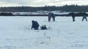 Карп Карась Толстолобик Зимой со льда | Рыбалка в Раково Истринский район