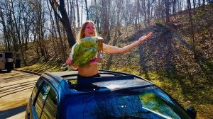 ЛУЧШИЙ КРОССОВЕР ЗА 600-700 тысяч рублей. Ваши варианты? Лиса рулит. Елена Лисовская